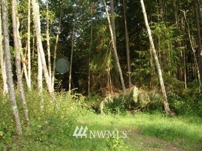 Property Photo:  0 Lot 9 Evergreen Lane  WA 98249 