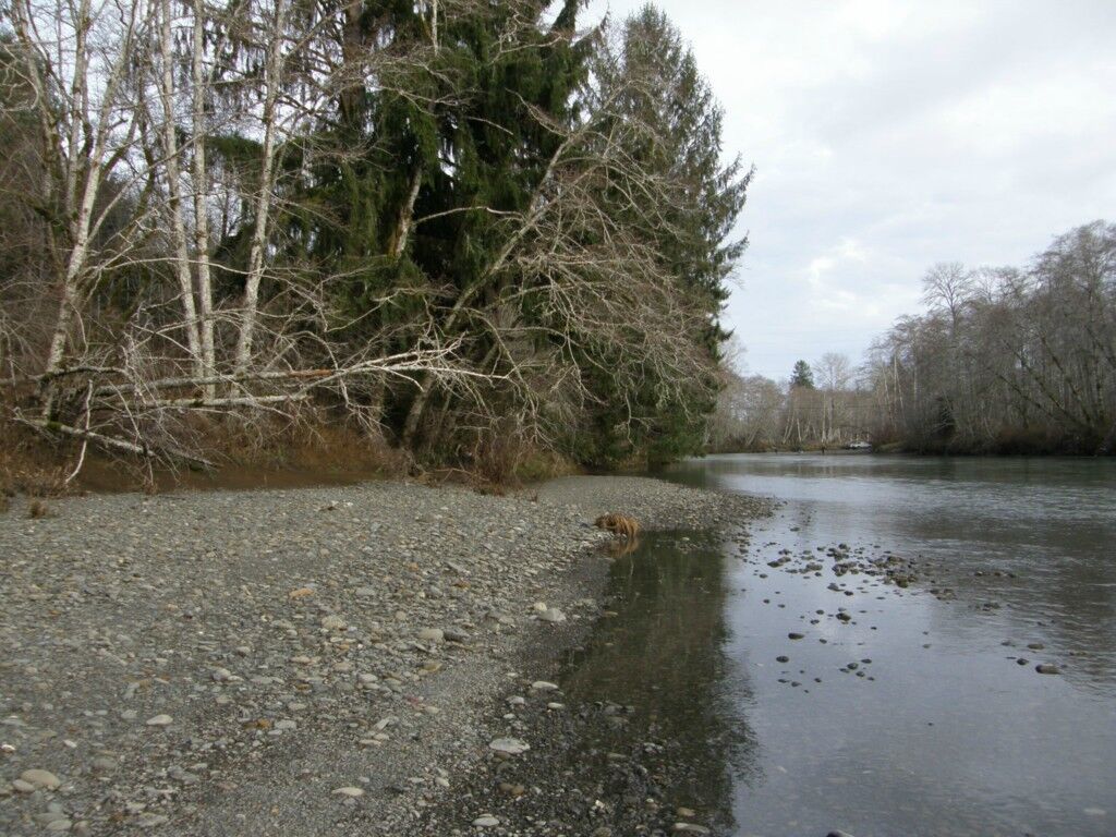 Property Photo:  0lot 1 Riverview Dr  WA 98552 