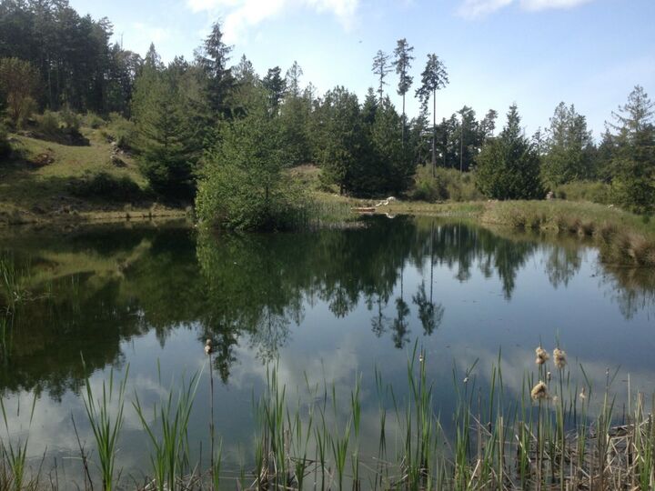 Property Photo: 6651 Roche Harbor Rd WA 98250