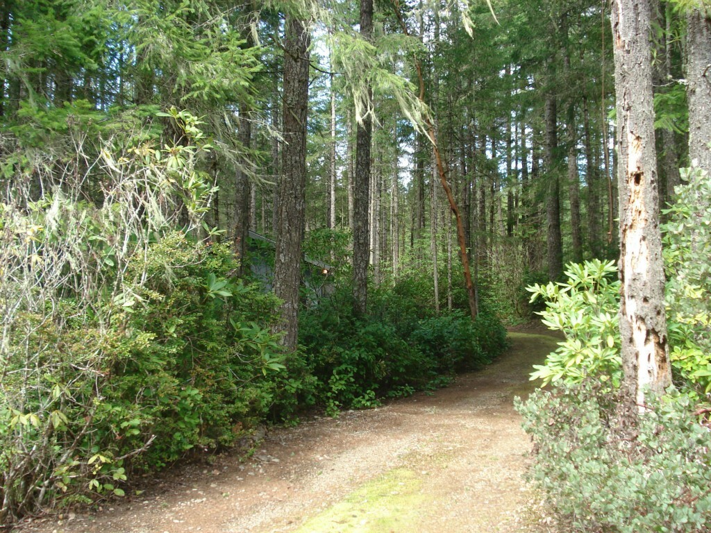 Property Photo: 200ne Hill Top Place WA 98588
