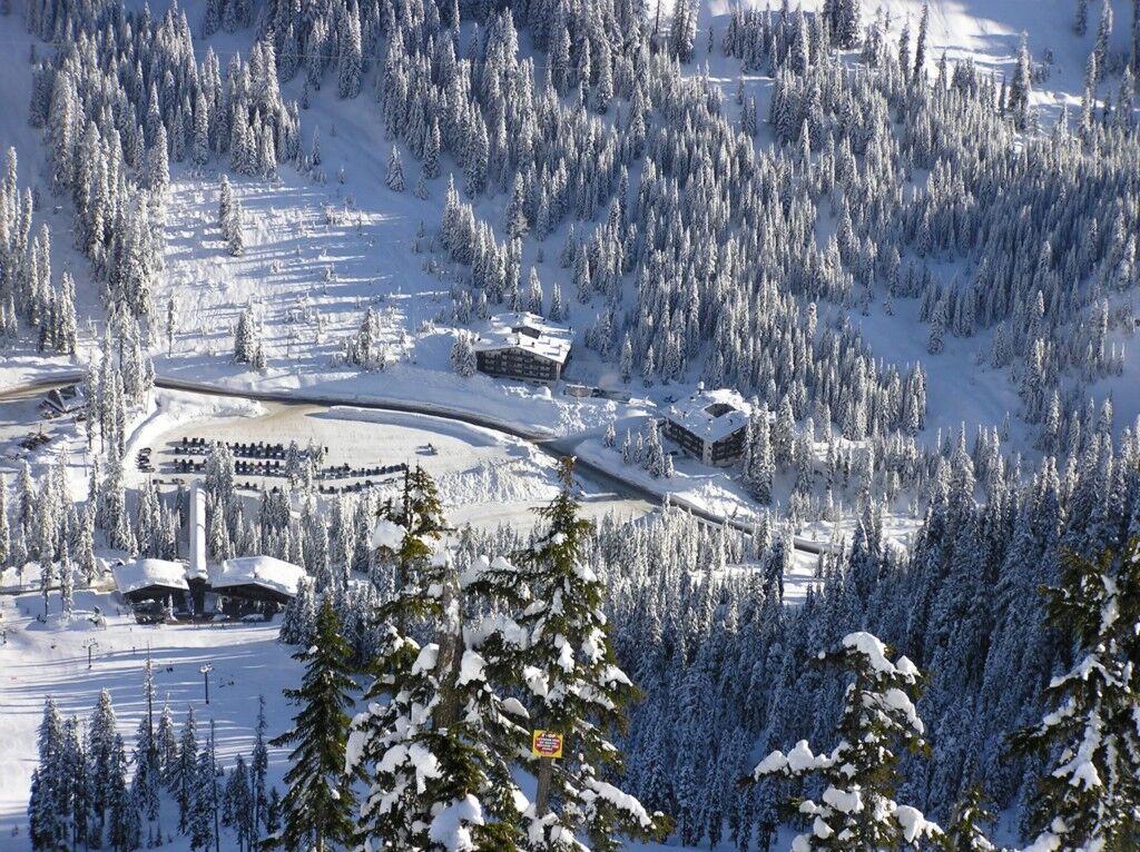 Property Photo: 1128 Erste St 2112 WA 98006