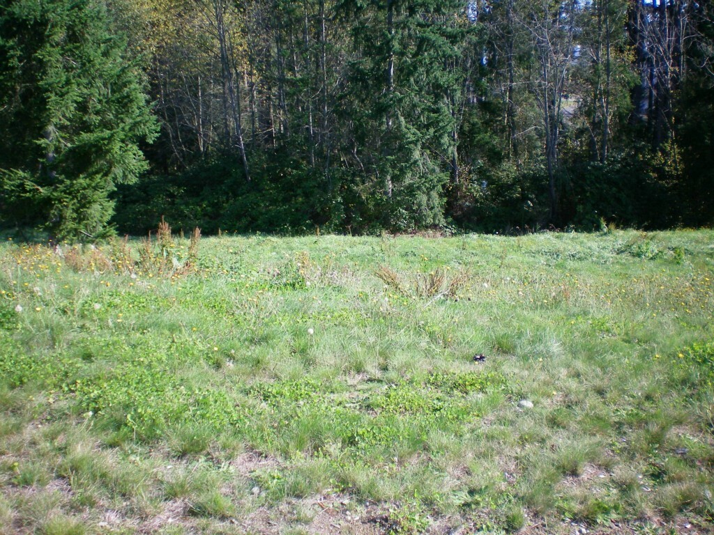 Property Photo:  9999lot 45 St Moritz Ct  WA 98282 