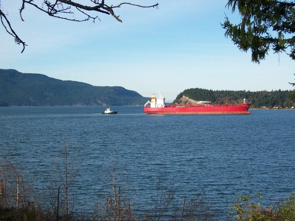 Property Photo:  1109 Dakota St  WA 98221 