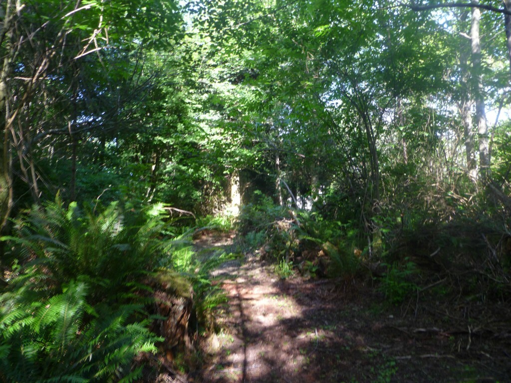 Property Photo:  0 Guemes Island Rd  WA 98221 