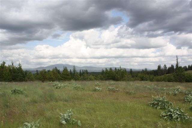 Property Photo:  29912 N Konzal Ln  WA 99006 