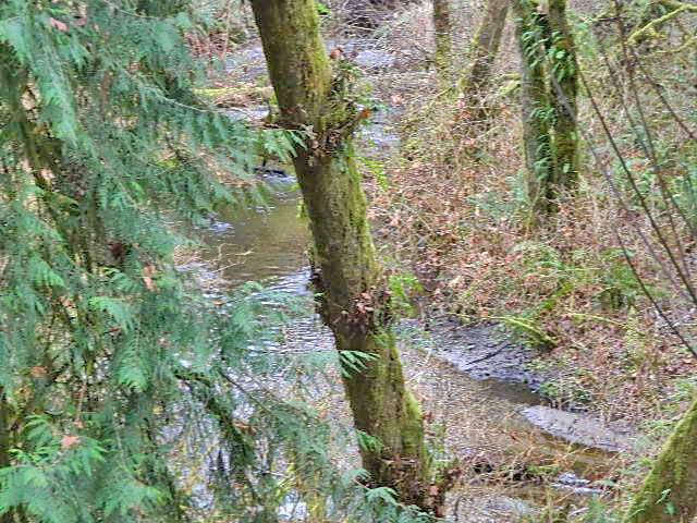 Property Photo:  122 Xxx  Bethel Burley Road  WA 98366 