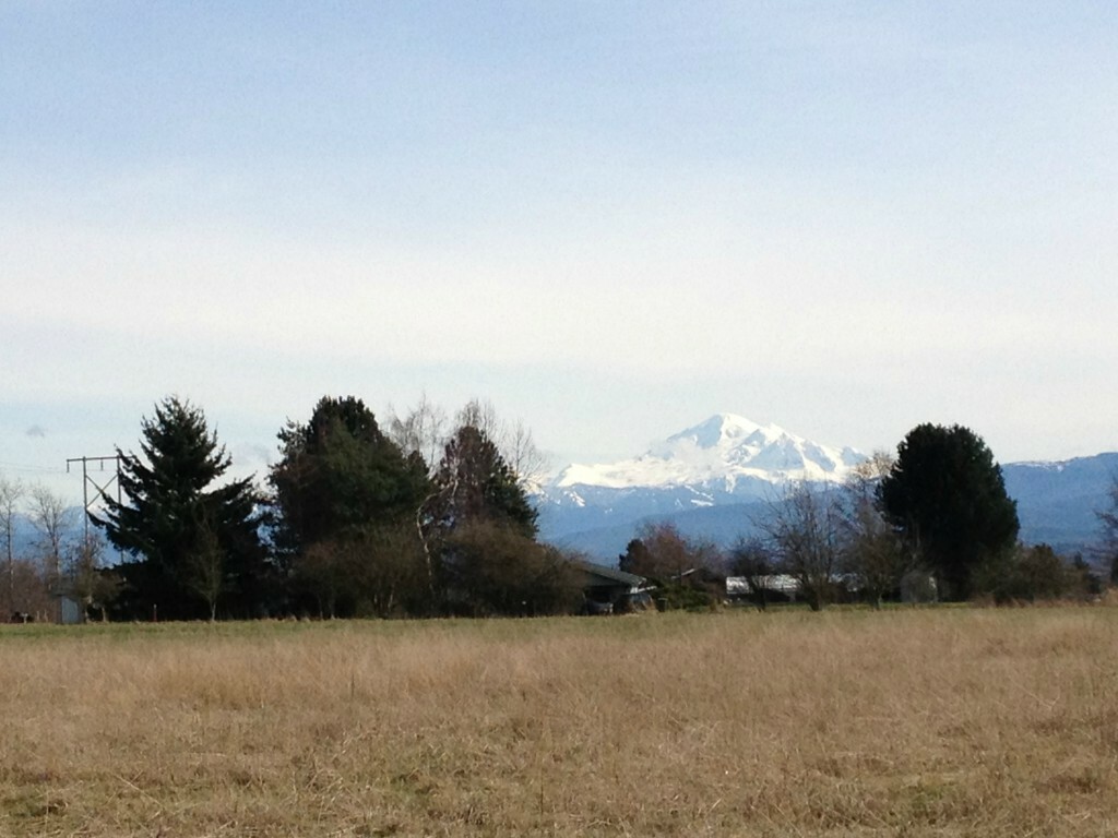 Property Photo: 0xxxx Walltine WA 98248