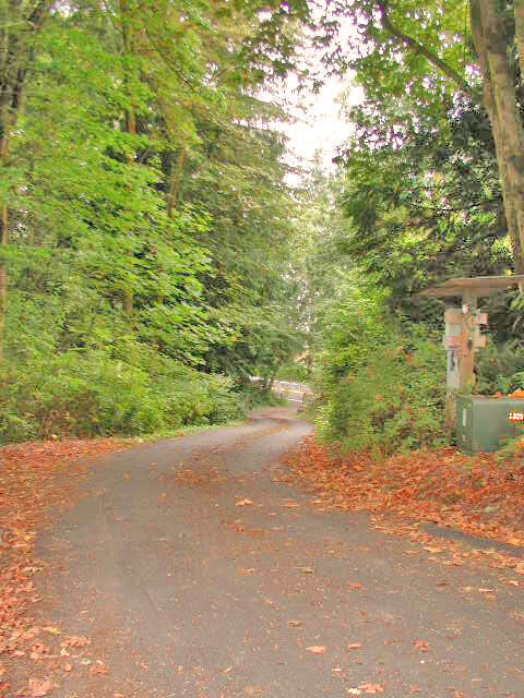 Property Photo:  2521 E State Route 302  WA 98528 