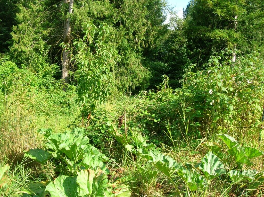 Property Photo:  0lot 37 North Shore Lane  WA 98237 