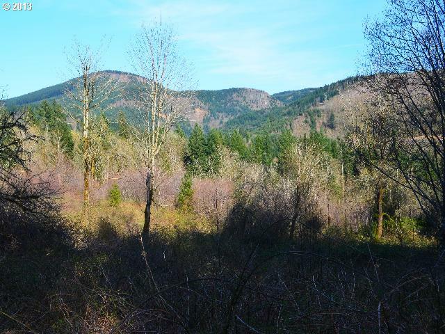 Property Photo:  13691 Washougal River Rd  WA 98671 