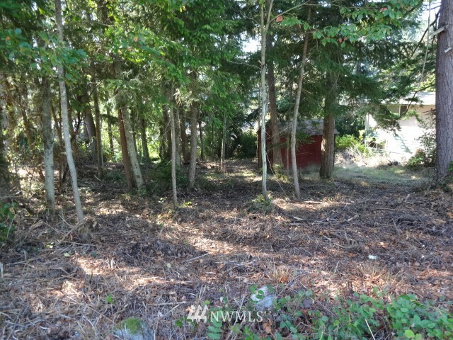 Property Photo: 370 Selkirk Drive WA 98282