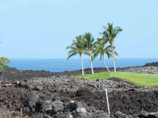 Property Photo: 68-1013 Ke Kailani Dr HI 96743