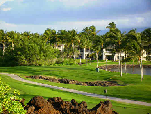 Property Photo: 68-130 Pukaua Pl HI 96743