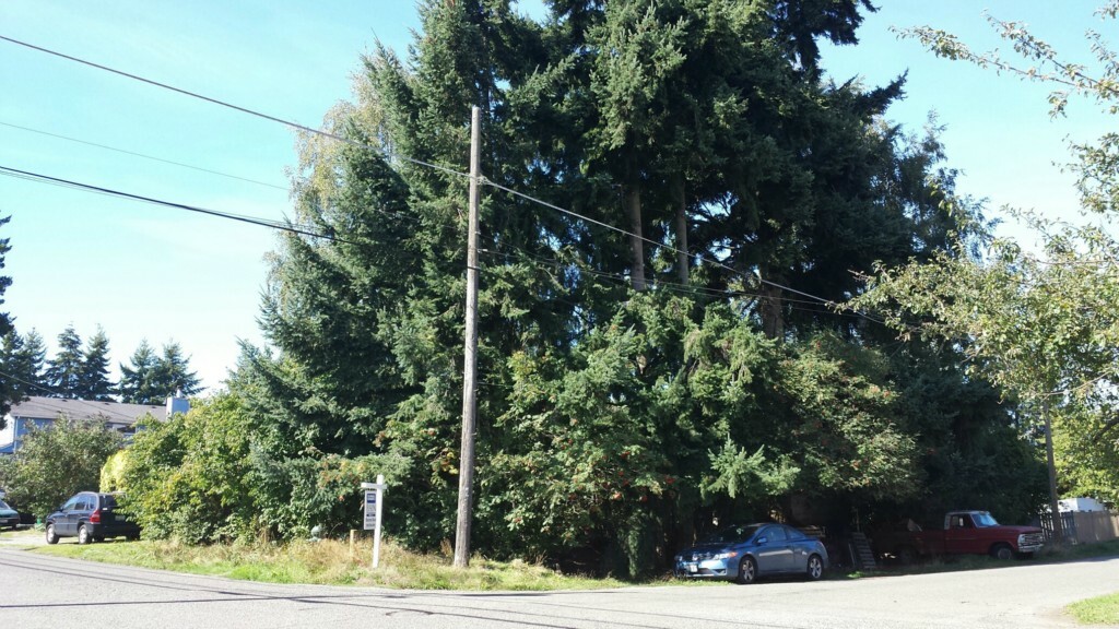 Property Photo:  1324 N 100th St  WA 98133 