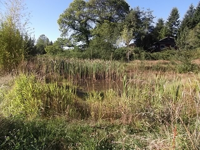 Property Photo: 25721 Leyman Lane NE WA 98346
