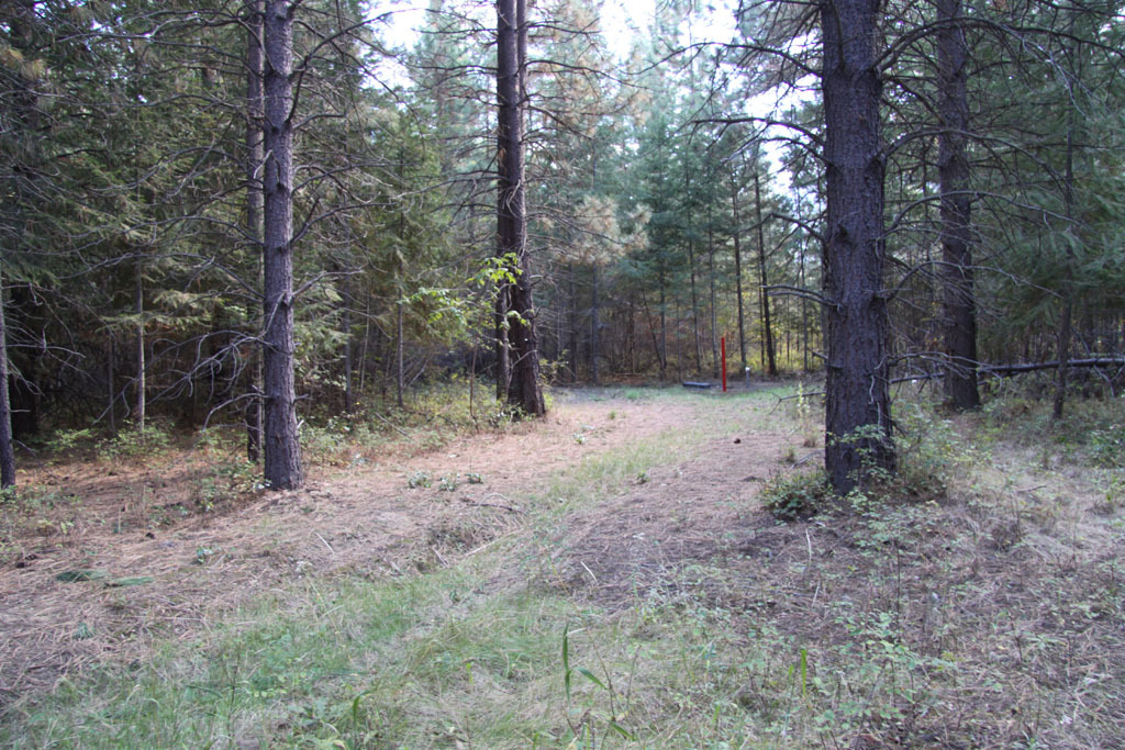 Property Photo:  0 Methow Ranch Rd  WA 98862 