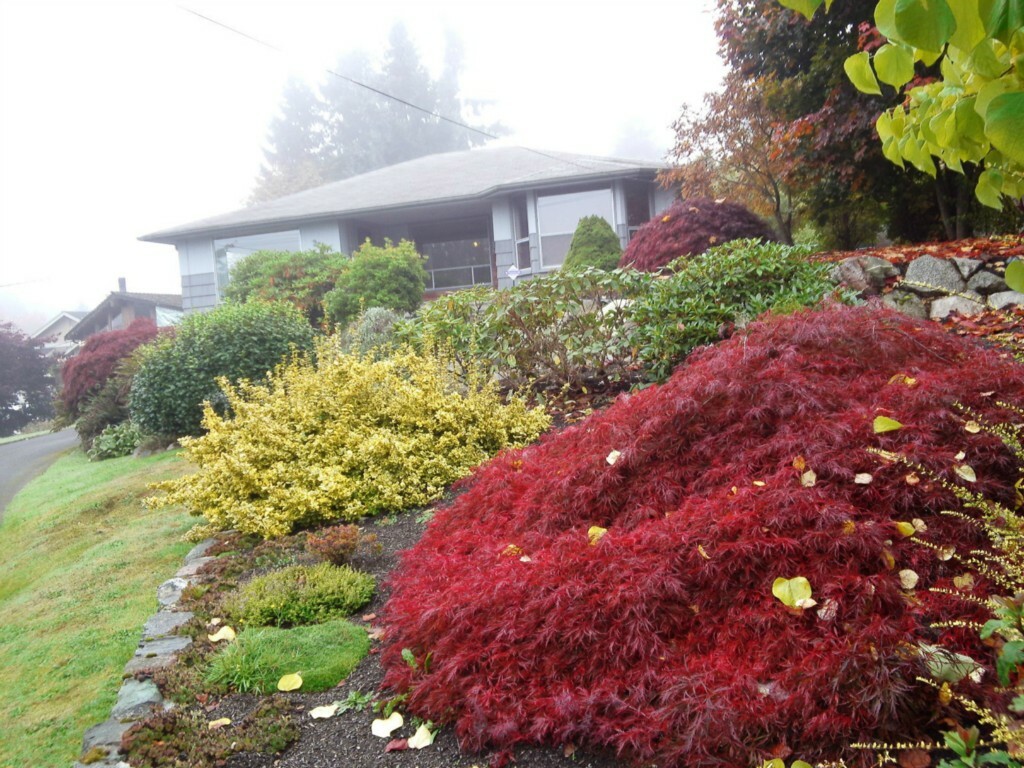 Property Photo: 3607 S Star Lake Rd WA 98001