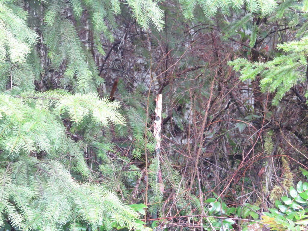 Property Photo: 0 W Goldsborough Dr WA 98584