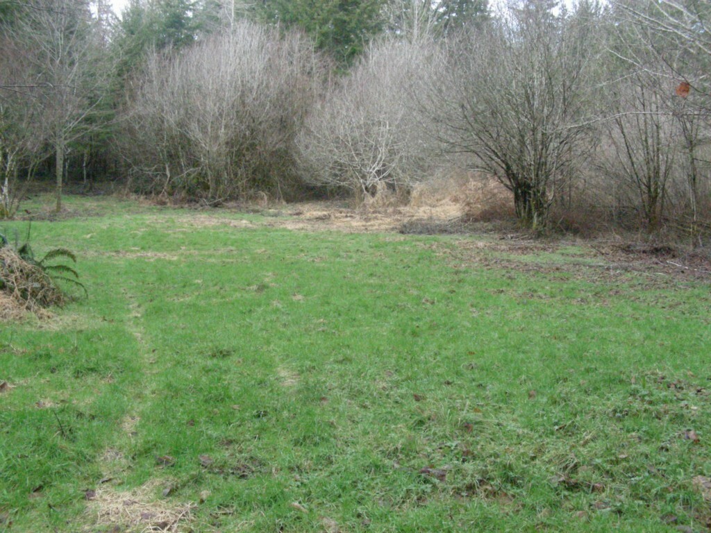 Property Photo:  1111 NE Coliseum Dr  WA 98528 