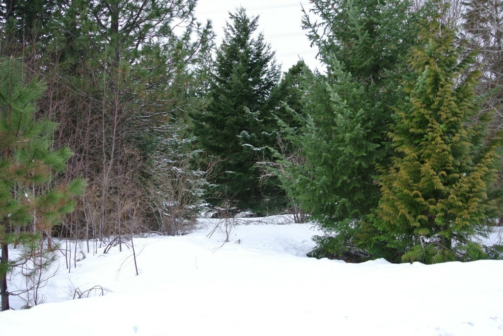 Property Photo:  12lot Iron Horse Rd  WA 98925 