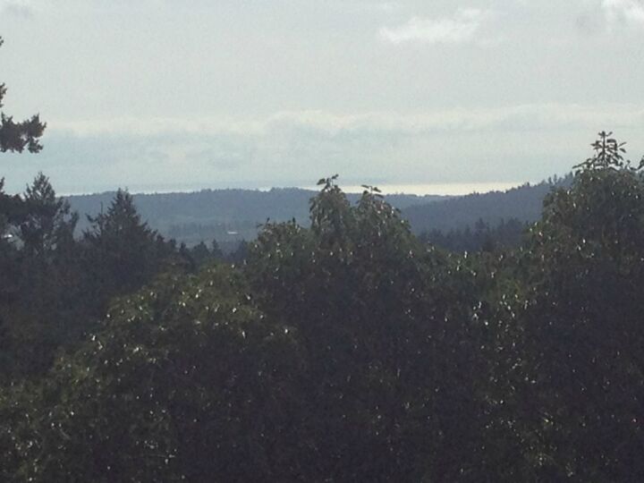 Property Photo: 0 Lucky Wy WA 98250