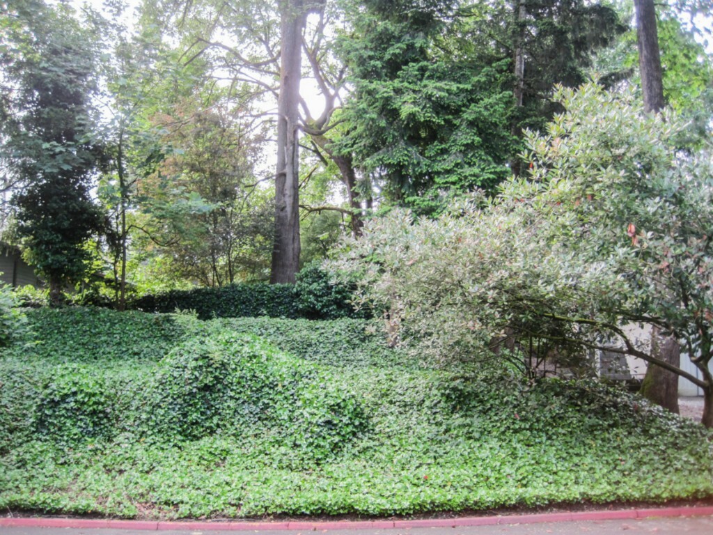 Property Photo:  11552 SE 175th St 22  WA 98055 