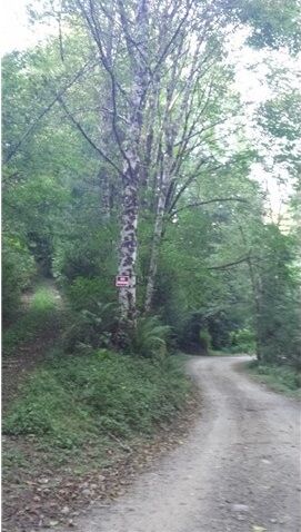 0 186th Ave Kpn  Gig Harbor WA 98329 photo