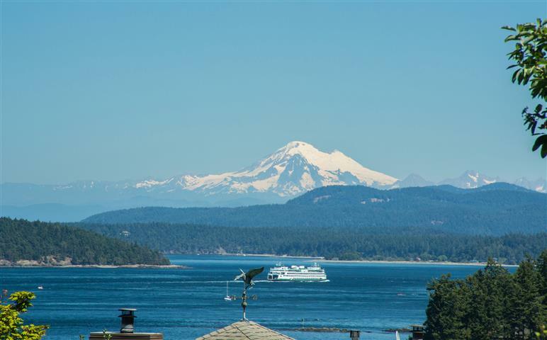 Property Photo: 520 Nelson St WA 98250
