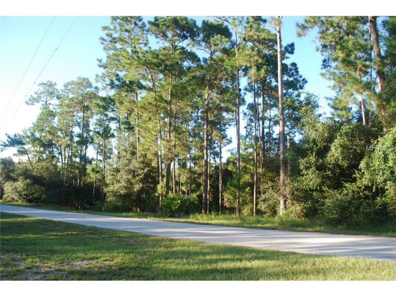 Property Photo:  Lot 139 Hill Stream Drive  FL 32732 