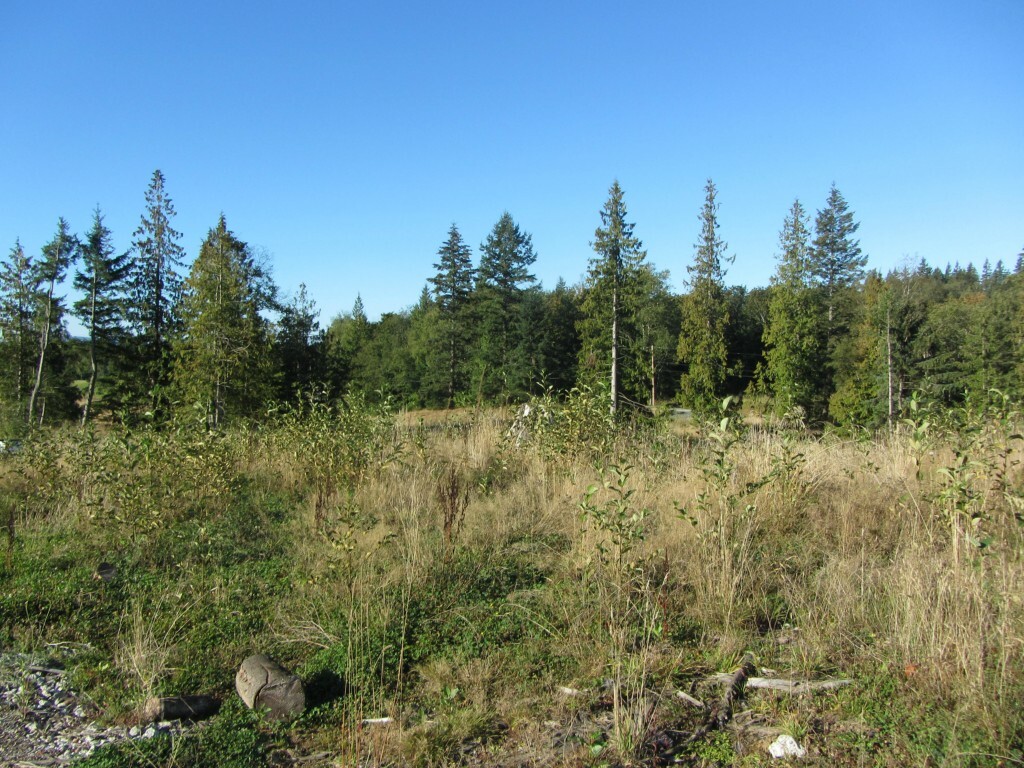 Property Photo:  0 North Pass Rd  WA 98247 