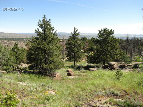 Property Photo:  0 Cherokee Trail Rd  CO 80536 