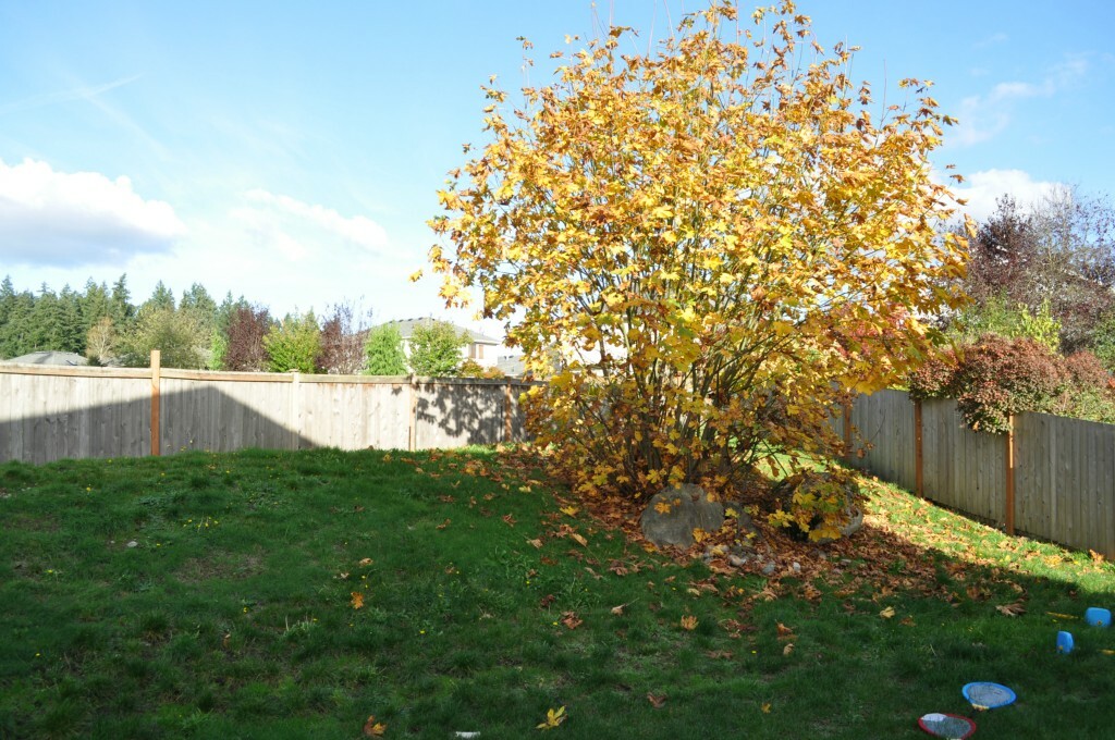 Property Photo:  25851 175th Place SE  WA 98042 