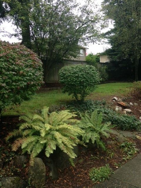 Property Photo:  827 108th Ave SE  WA 98004 