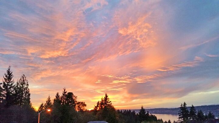 Property Photo:  12409  58th Avenue NW  WA 98332 