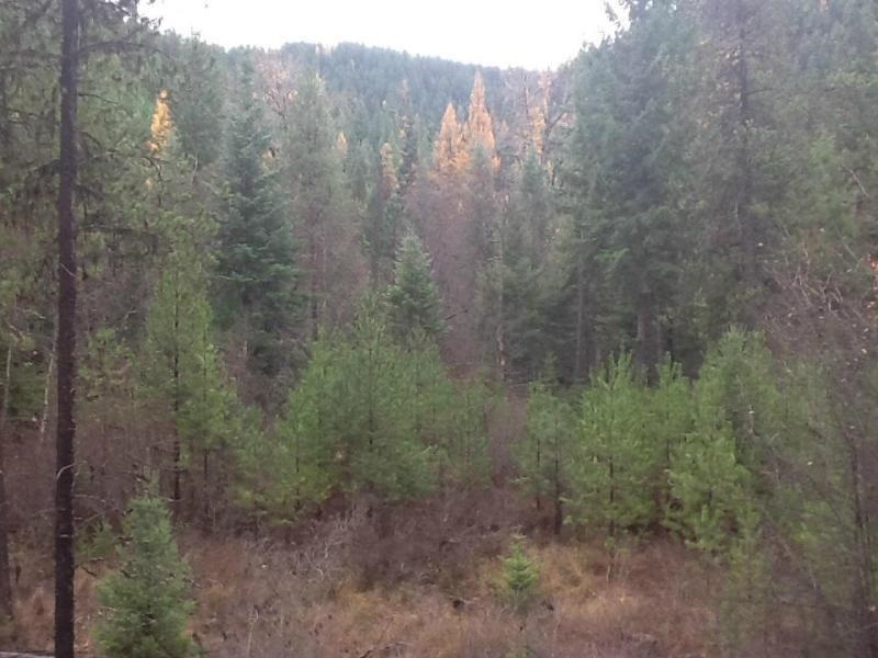 Property Photo:  1860 Silvercreek Road  WA 99138 