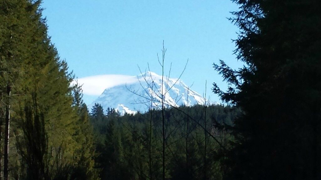 Property Photo: 17111 263rd Avenue East Lot #14 WA 98321