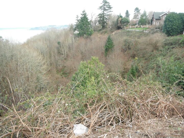 4101 N 39th Street  Tacoma WA 98407 photo