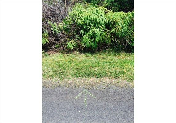 Property Photo: Fern Acres Lot #7300 HI 96771