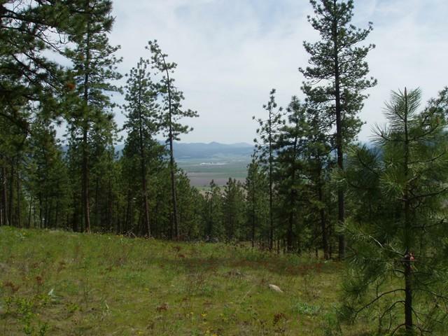 Lot 3 Palmer Loop  Chewelah WA 99109 photo