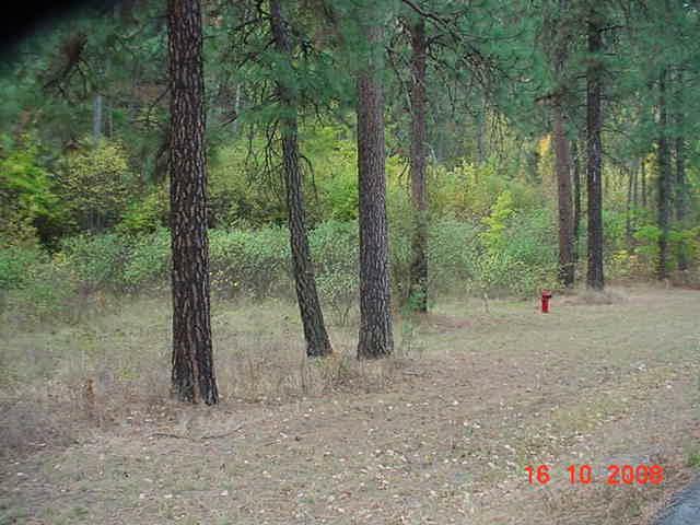 Property Photo:  Lot 6 Hwy 25  WA 99151 