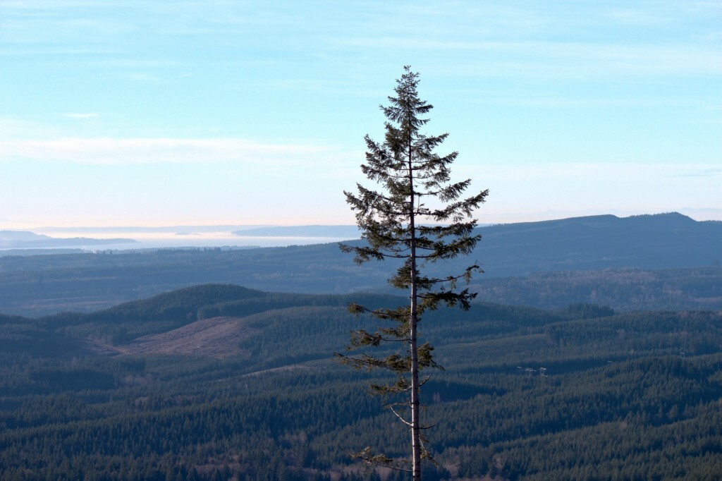 Property Photo: 9515 N Cedarvale Loop Rd WA 98223