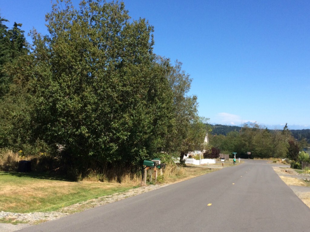 Property Photo: 0 Sealawn Dr WA 98249