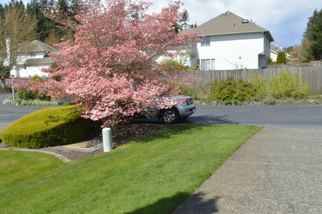 Property Photo:  6514 59th St Ct W  WA 98467 