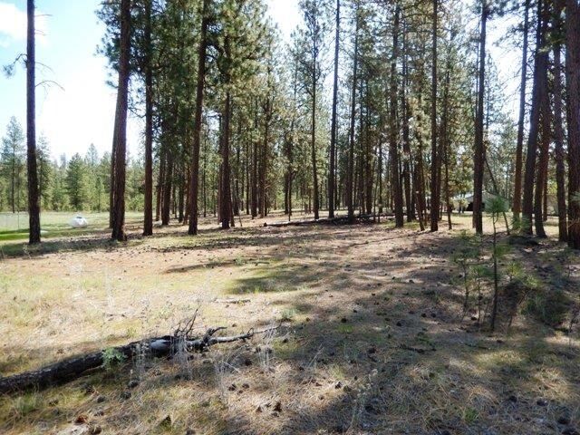 Property Photo:  6540 Long Lake Dr  WA 99026 