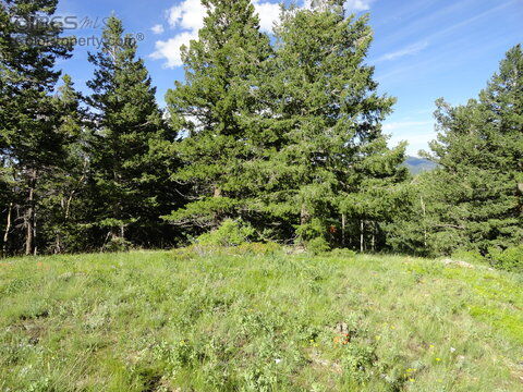 Property Photo: 0 Pewabic Mountain Rd CO 80427