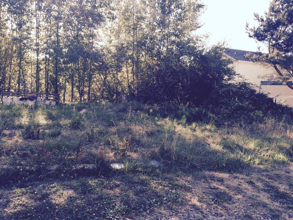 Property Photo:  0 Alderson Road  WA 98230 