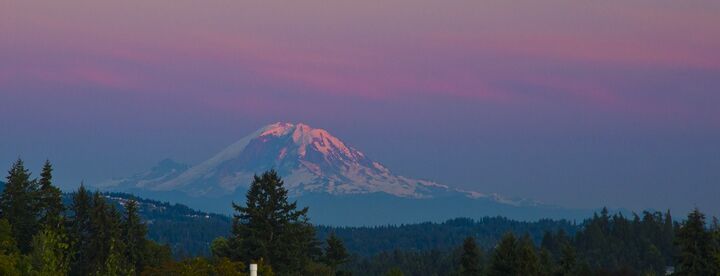 Property Photo:  1315 94th Ave NE  WA 98004 