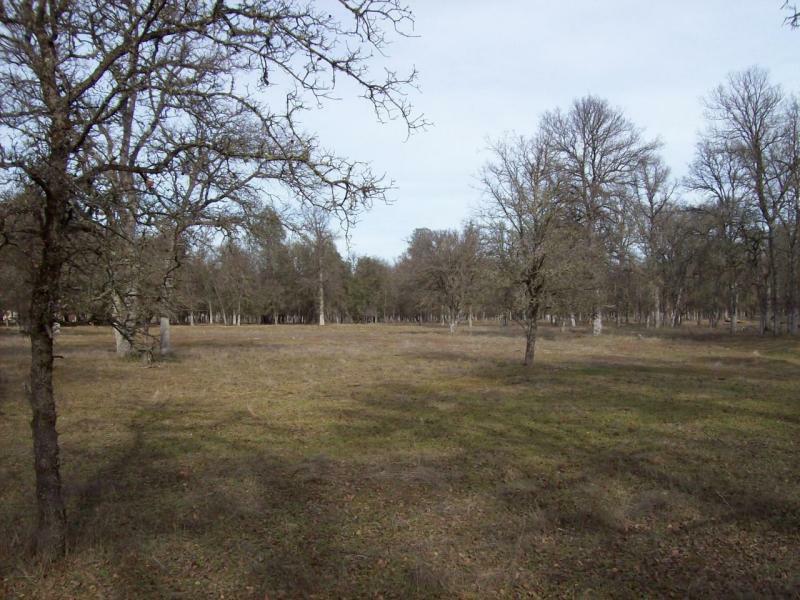 Property Photo:  19350 Kiowa Ln  CA 96022 