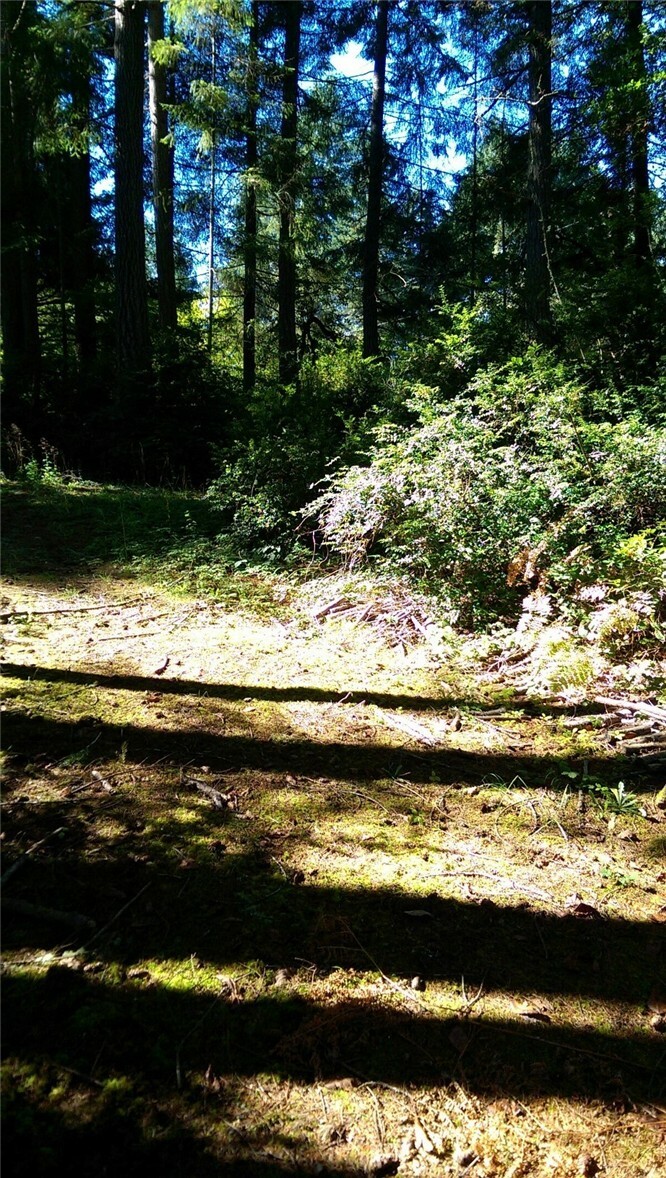 Property Photo:  2103 194th Ave  WA 98349 