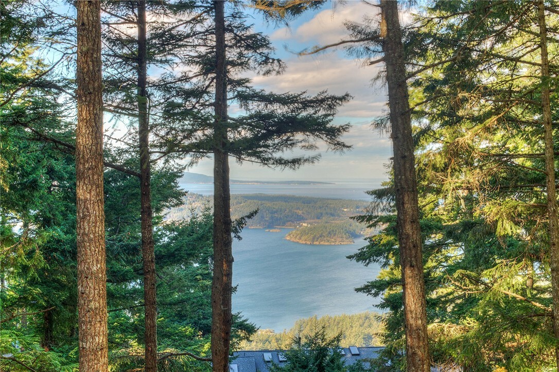 Property Photo:  1036 Discovery Way  WA 98245 